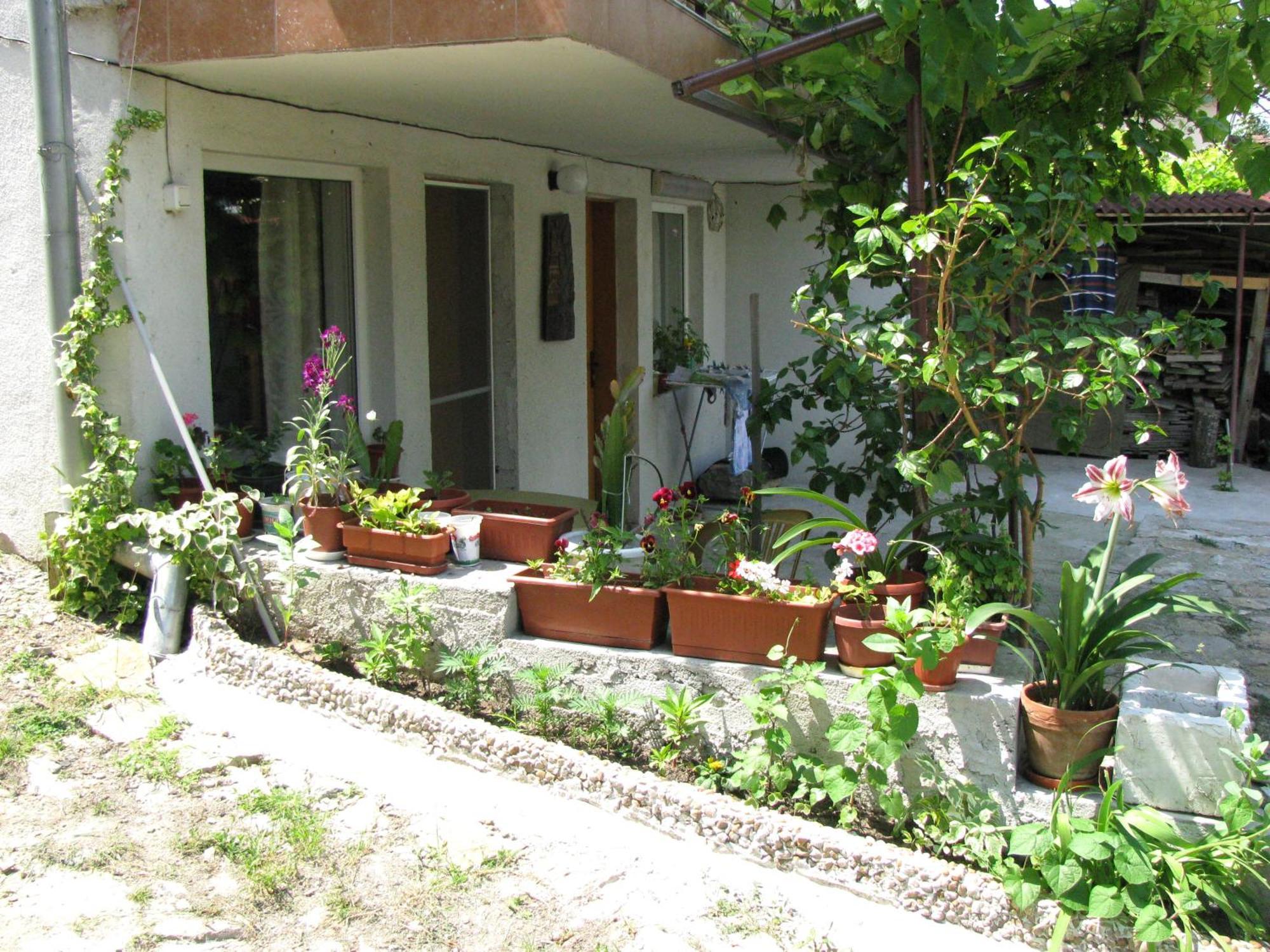 Samovodene Guest House Familia מראה חיצוני תמונה