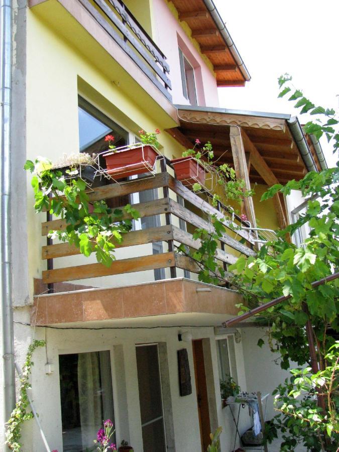 Samovodene Guest House Familia מראה חיצוני תמונה